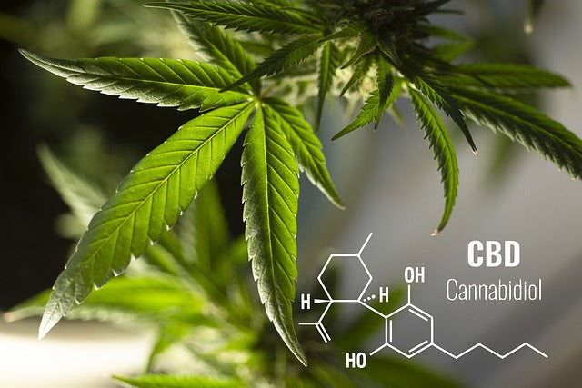 CBC, CBN,CBG : le guide des cannabinoïdes mineurs