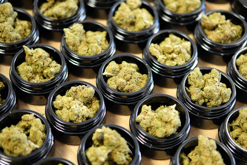 CBD-Händler: 7 Fehler, die Sie vermeiden sollten