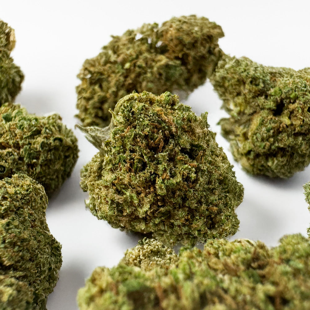 CBD-Produzent: Welche Schritte sind erforderlich, um loszulegen?