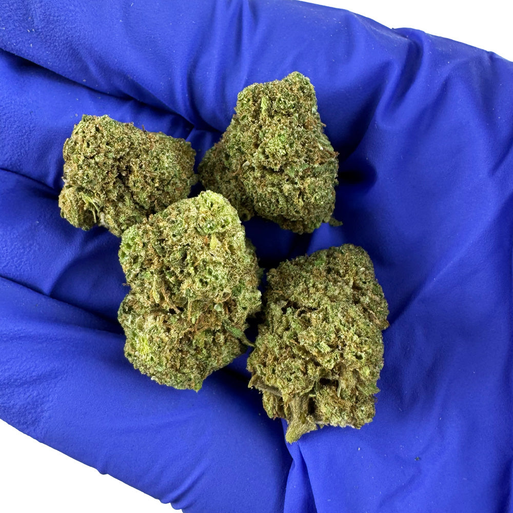 Ile naprawdę kosztuje licencja producenta CBD we Francji?