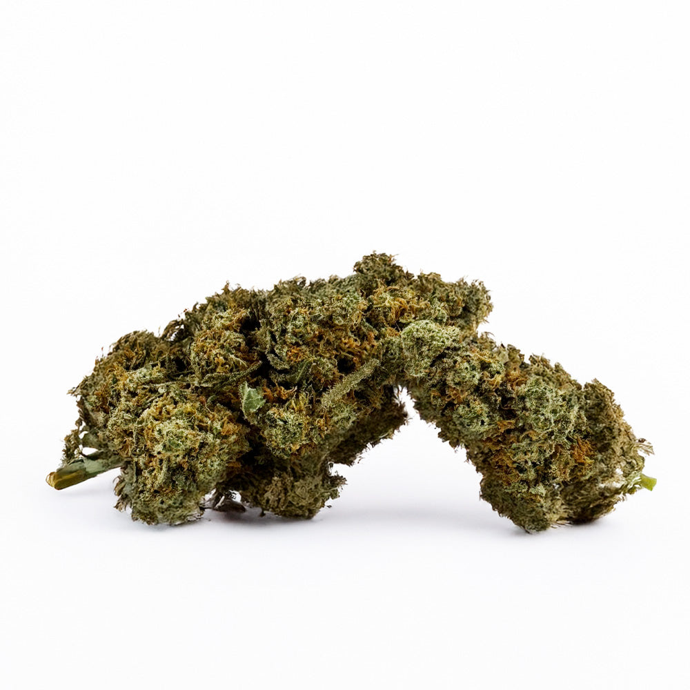 Amnesia JSH B1 CBD - Interior