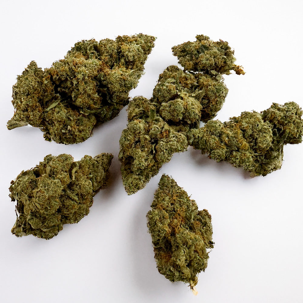 Amnesia JSH B1 CBD - Indoor