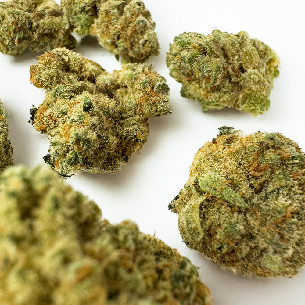 Small buds Amnesia JSH - Indoor