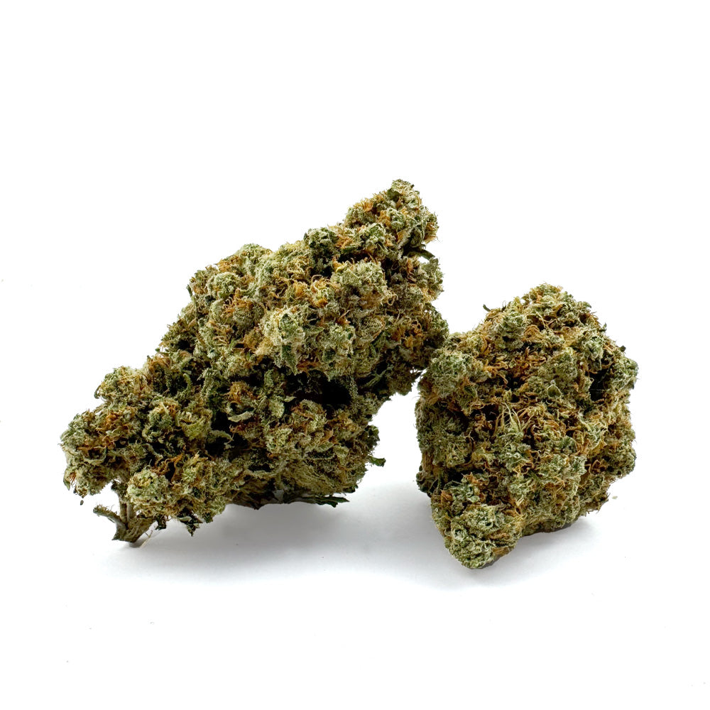 Amnesia JSH B1 CBD – uprawa pod dachem — zdjęcie 1