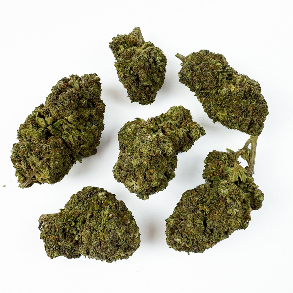 Blueberry Muffin #B2 CBD – pěstování v interiéru