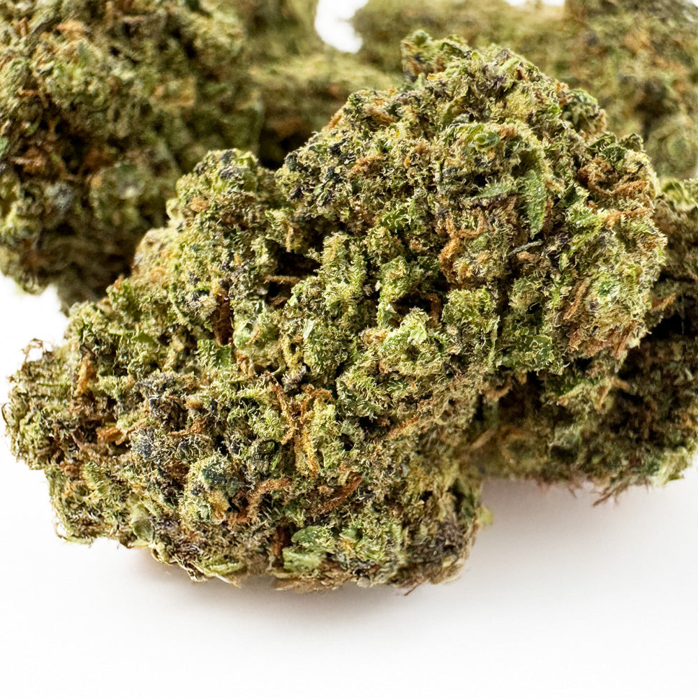 Blueberry Muffin #B2 CBD – pěstování v interiéru