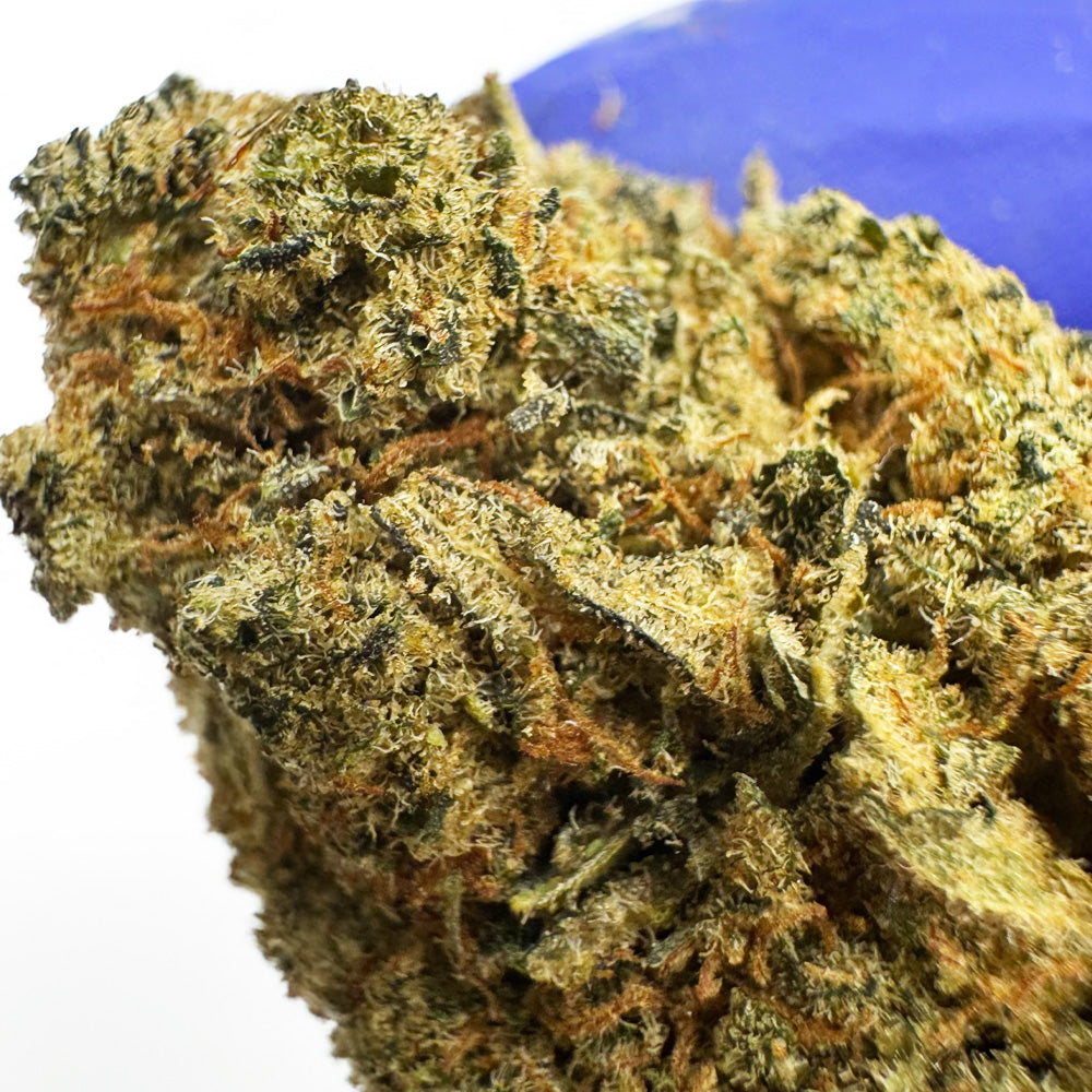 Banana Kush CBD - Indoor