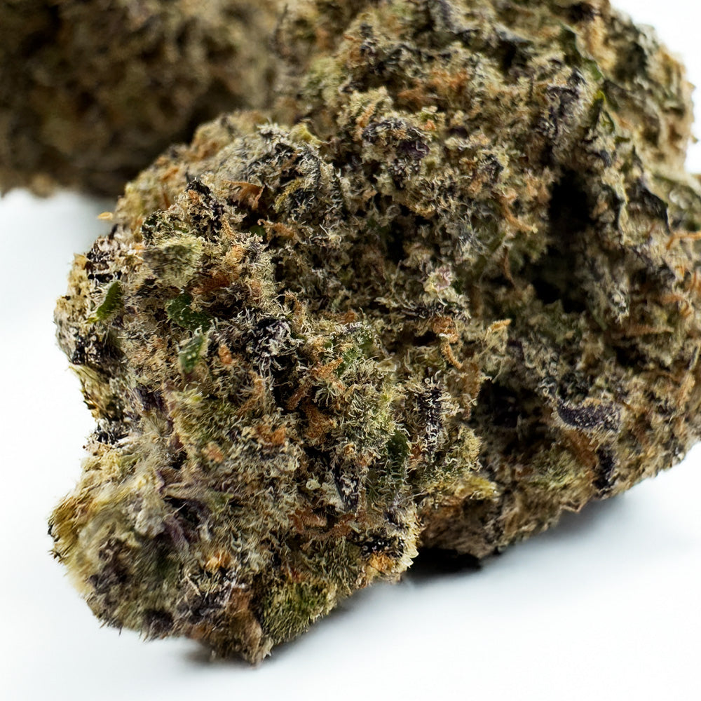 Black Widow CBD – uprawa w pomieszczeniu
