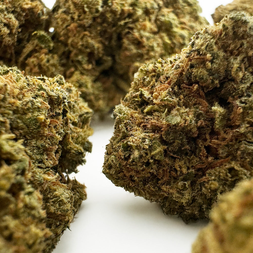 Blue Cake CBD - Interior