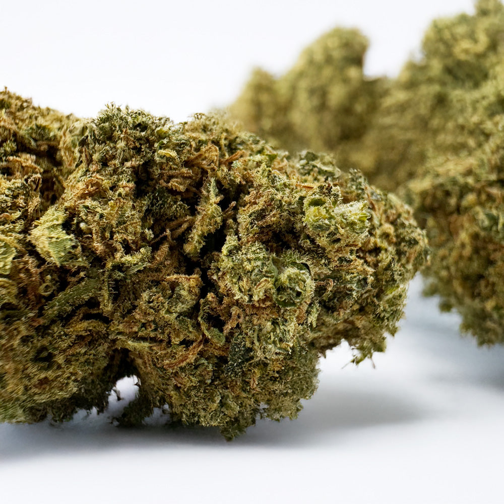 Blue Cake CBD – uprawa indoor