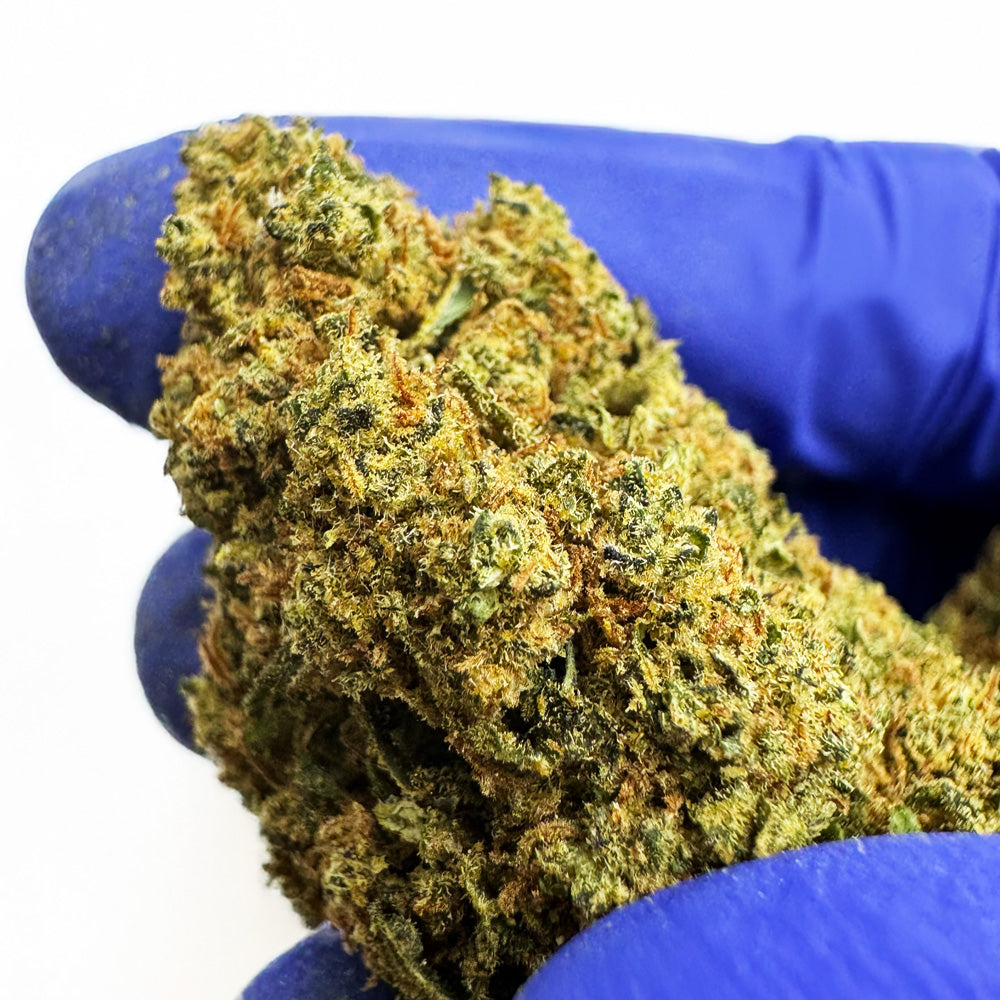 Blue Cake CBD - Interior