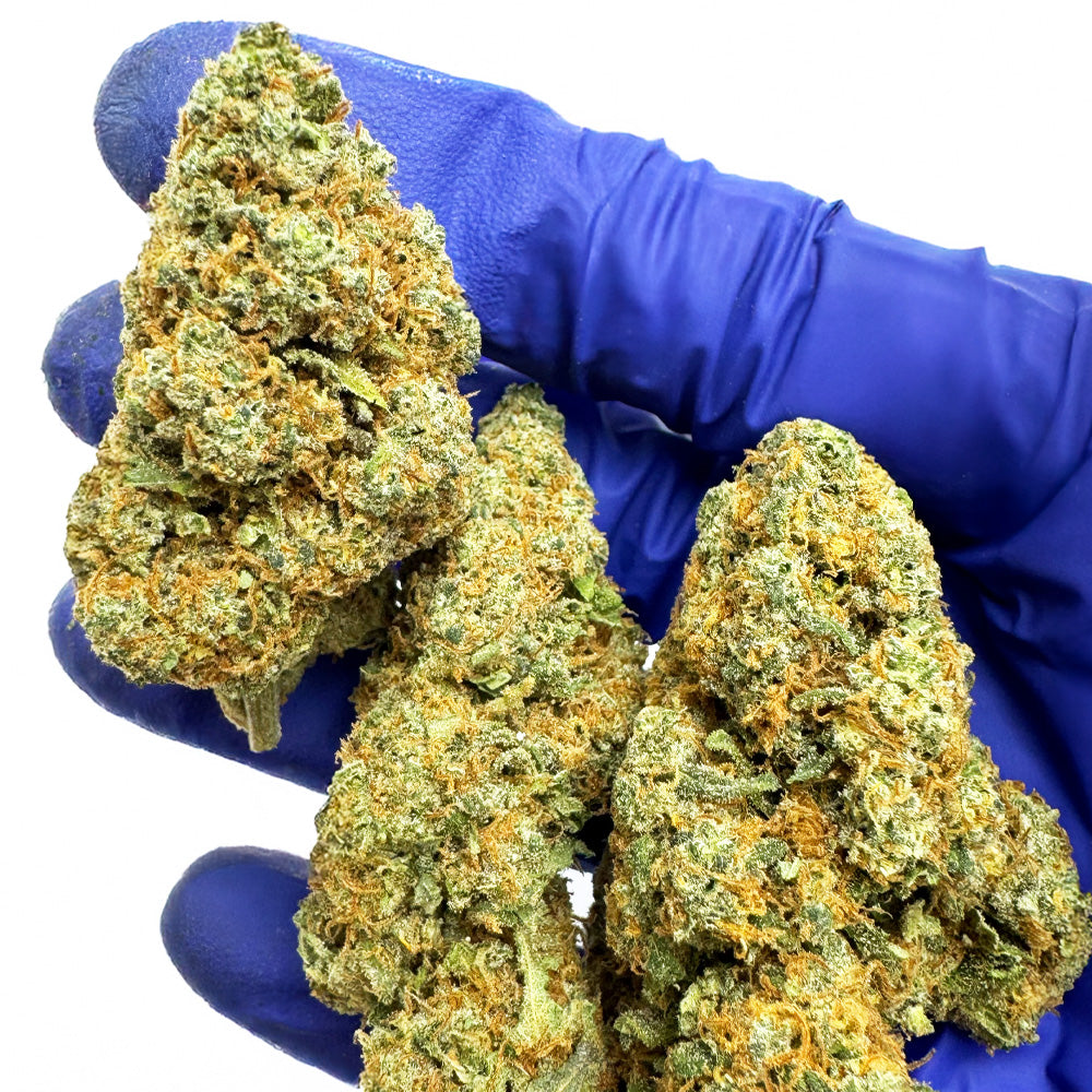 Muffin de arándanos CBD - Interior