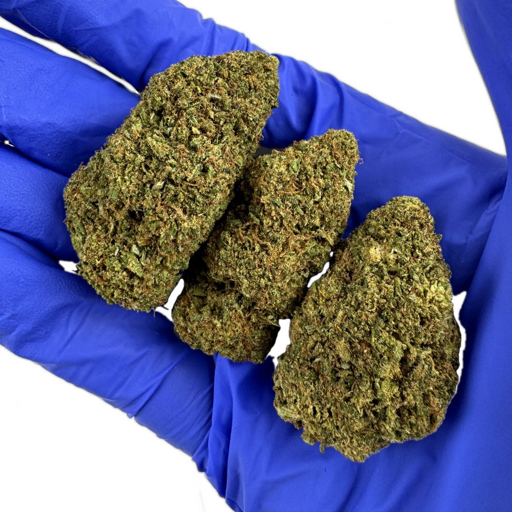 Chemdawg - Binnenkweek, VS