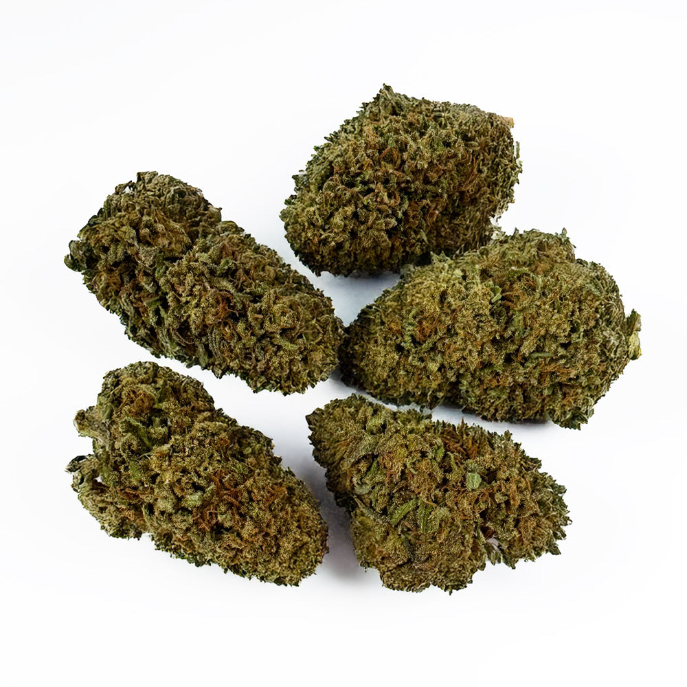 Cake Berry - Híbrida estadounidense