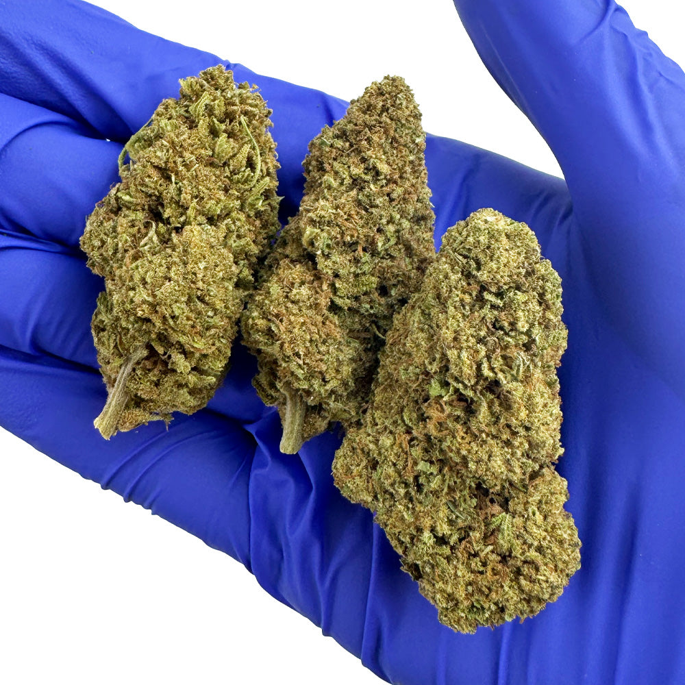 Cake Berry - US Hybrid — photo 6