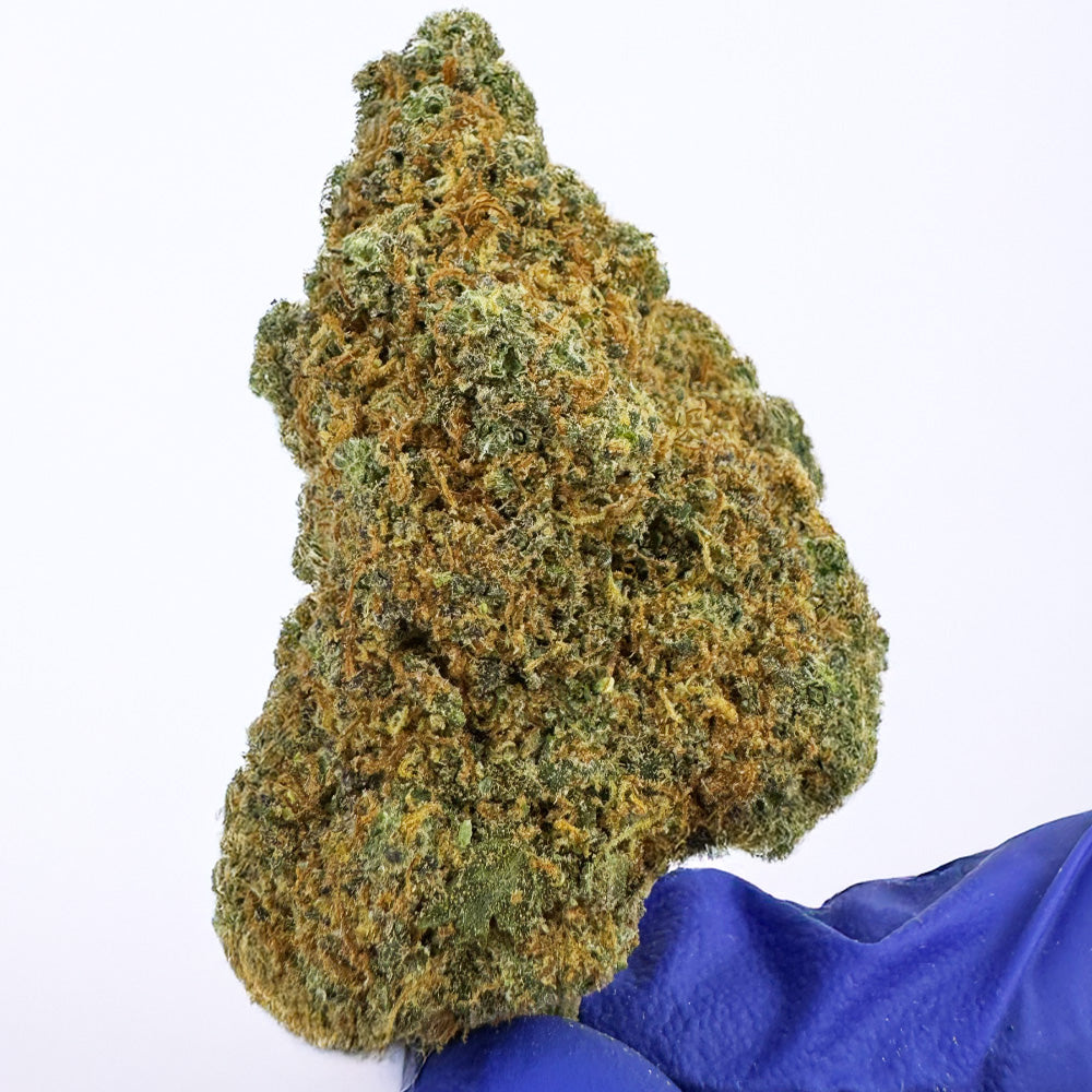 Cali Muffin - Hidropónico Cali