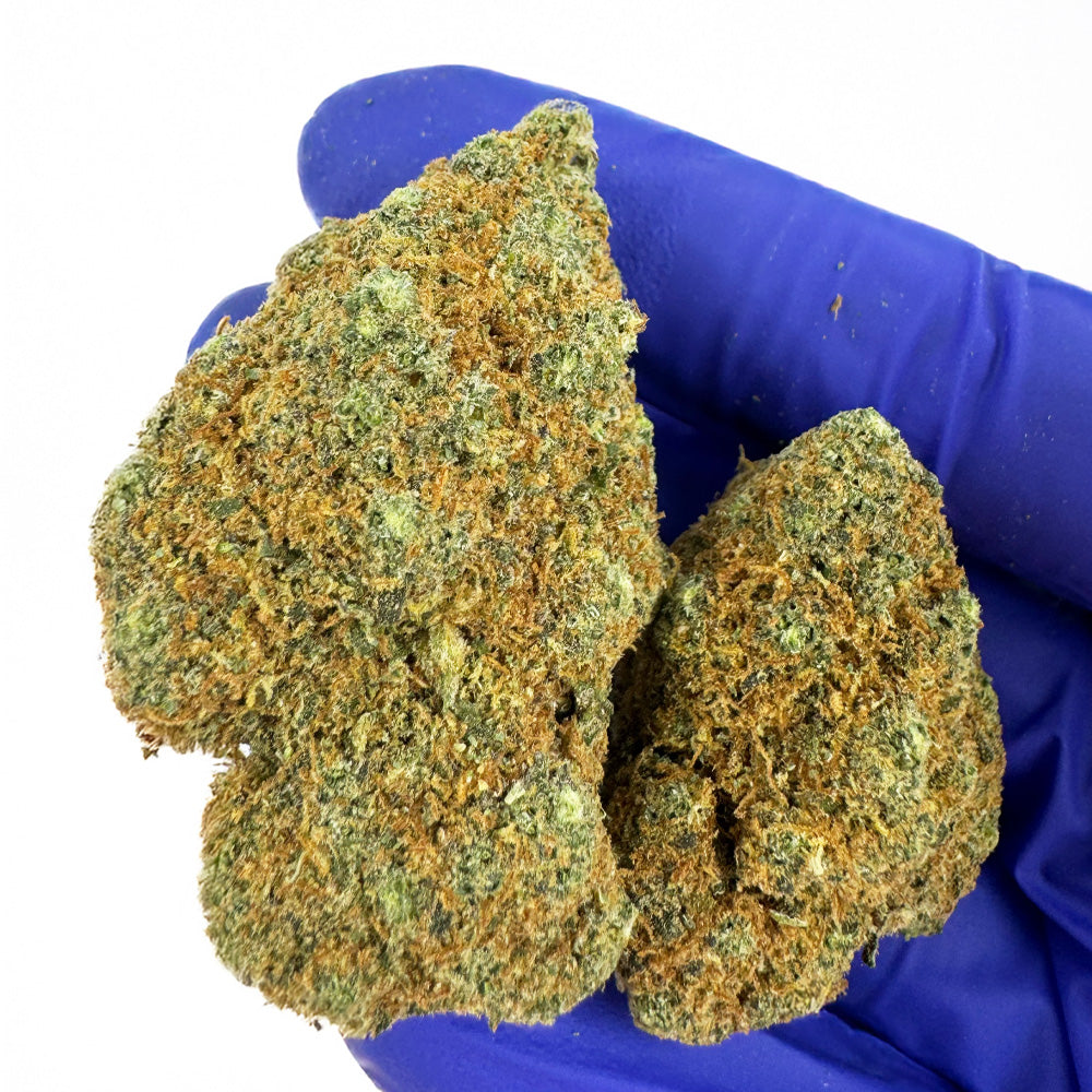 Cali Muffin - Hidropónico Cali