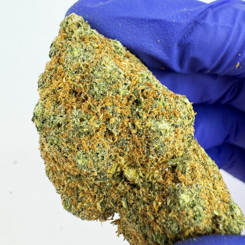 Cali Muffin - Hydroponique Cali