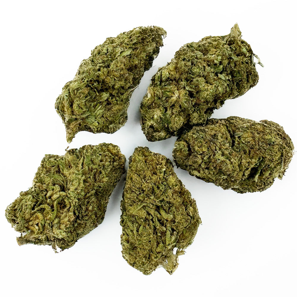 Candy Rain - Híbrido de EE. UU.