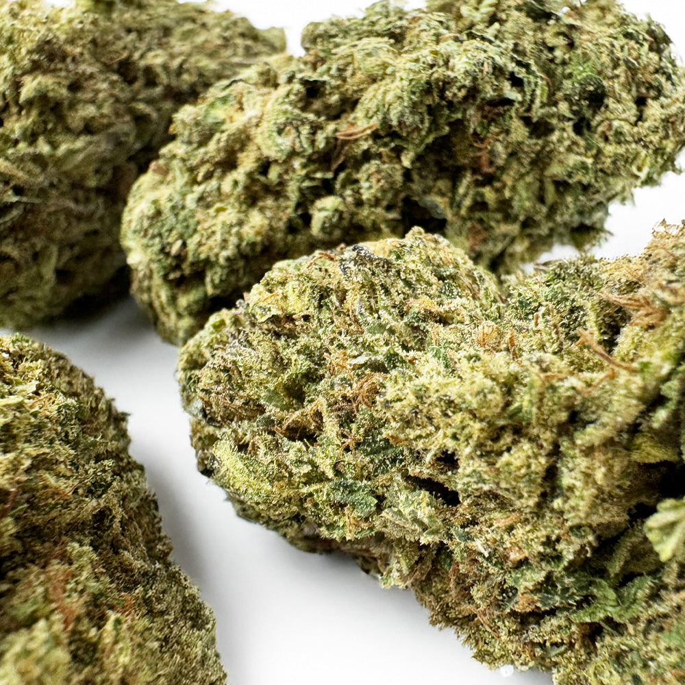 Candy Rain - Híbrido de EE. UU.