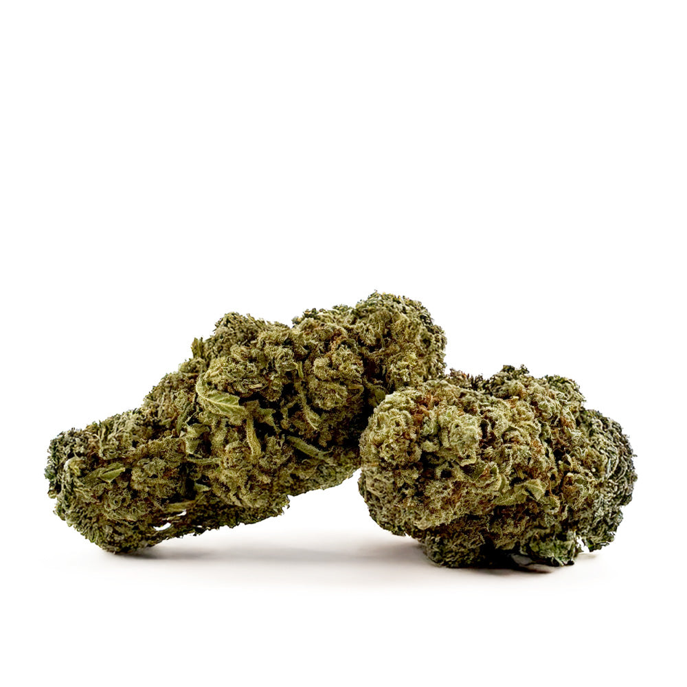 Citrus OG – Indoor