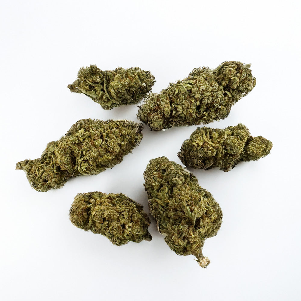 Citrus OG – Indoor