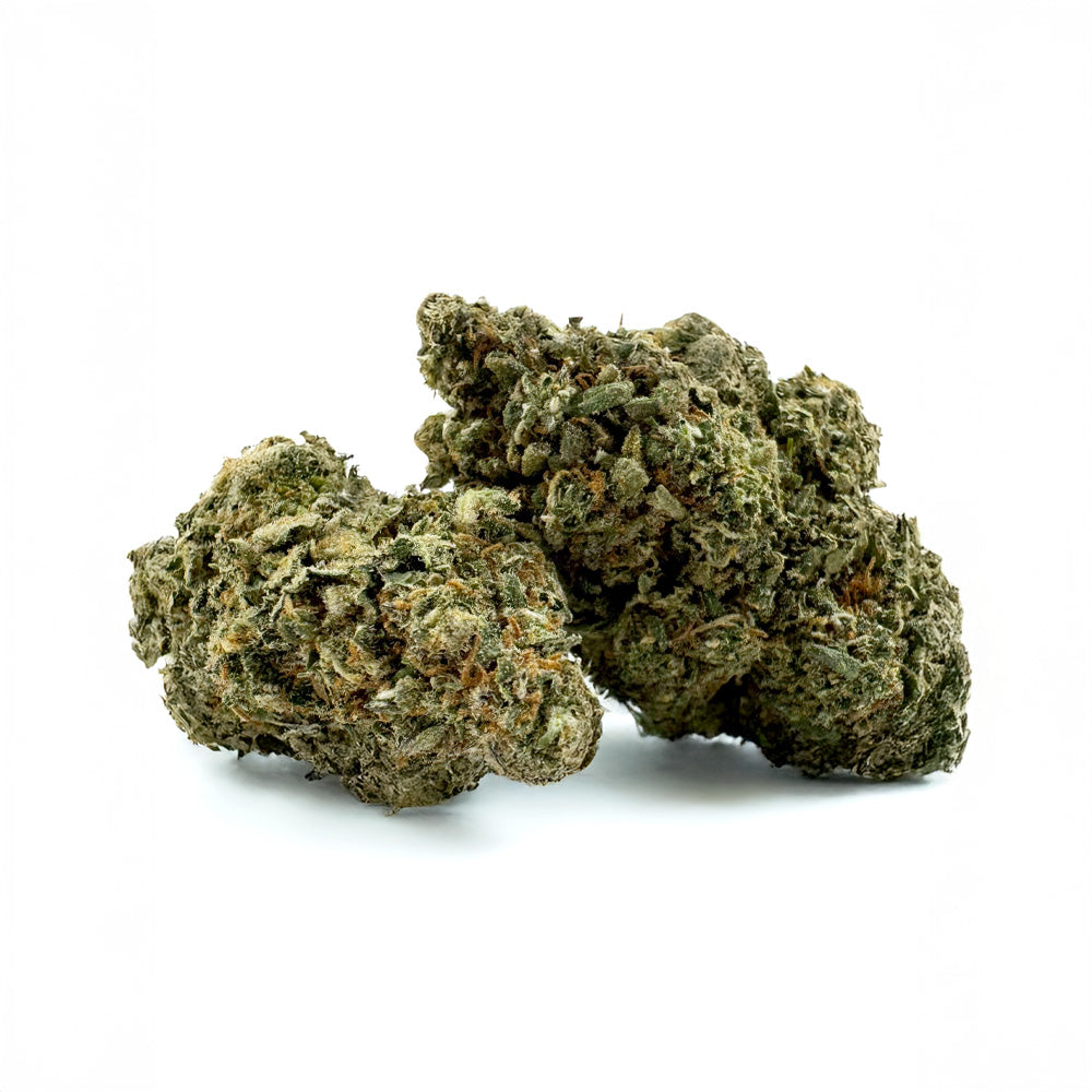 Galletas Cake - Interior