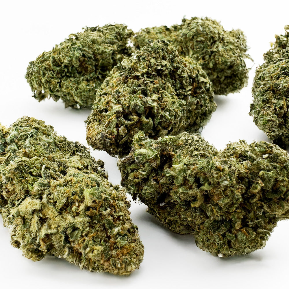 Galletas Cake - Interior