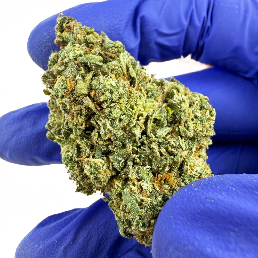 Galletas Cake - Interior