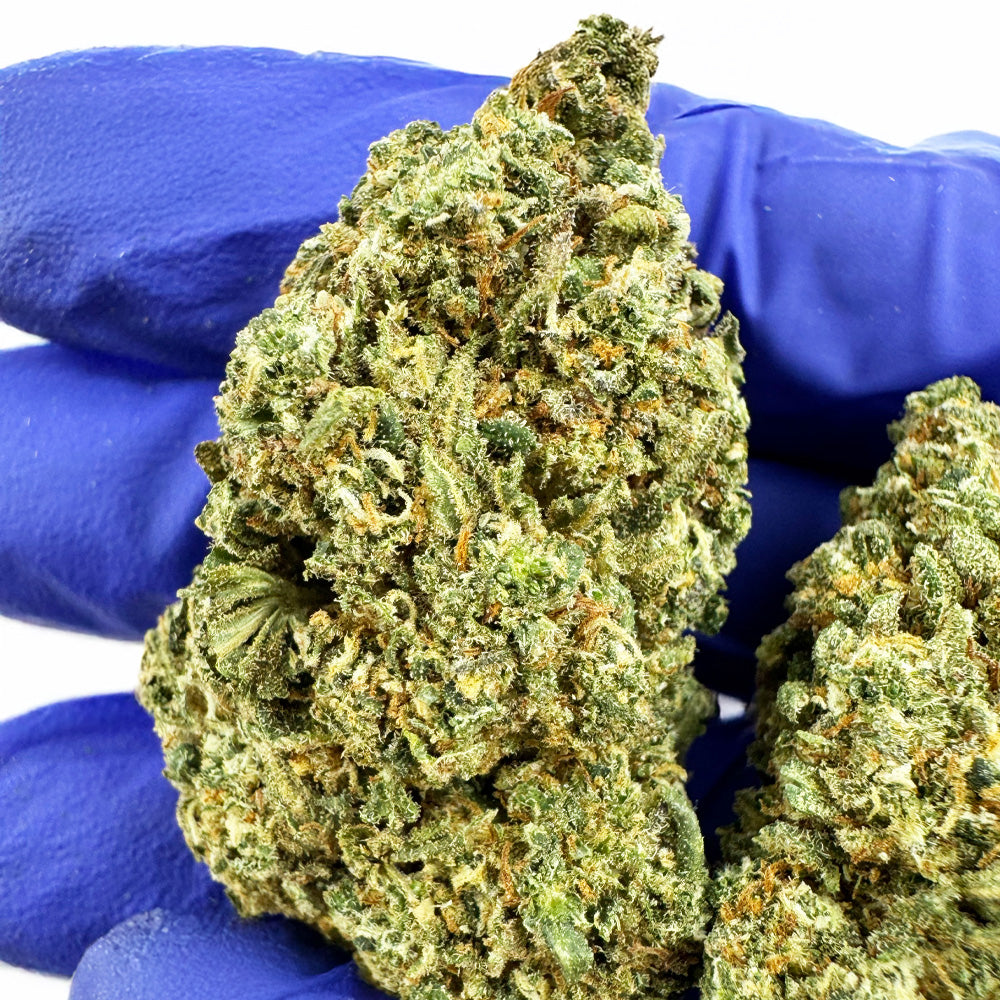 Galletas Cake - Interior