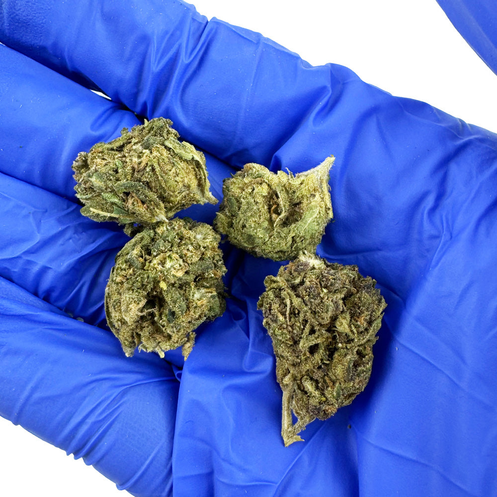 Malé palice Lemon Haze – Greenhouse — foto 3