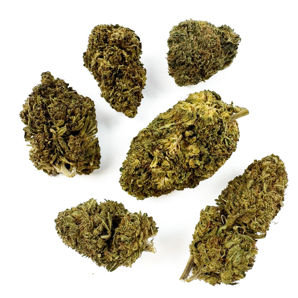Lemon OG – hybryda z USA — zdjęcie 5