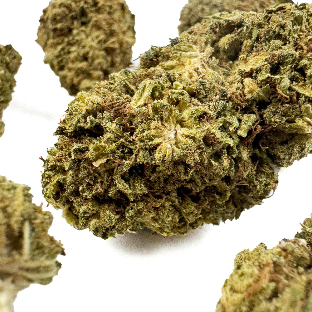 Lemon OG – hybryda z USA — zdjęcie 6