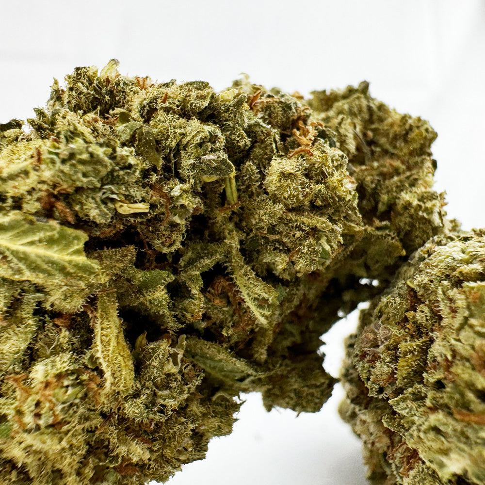 Citrus OG - Indoor — Photo 5