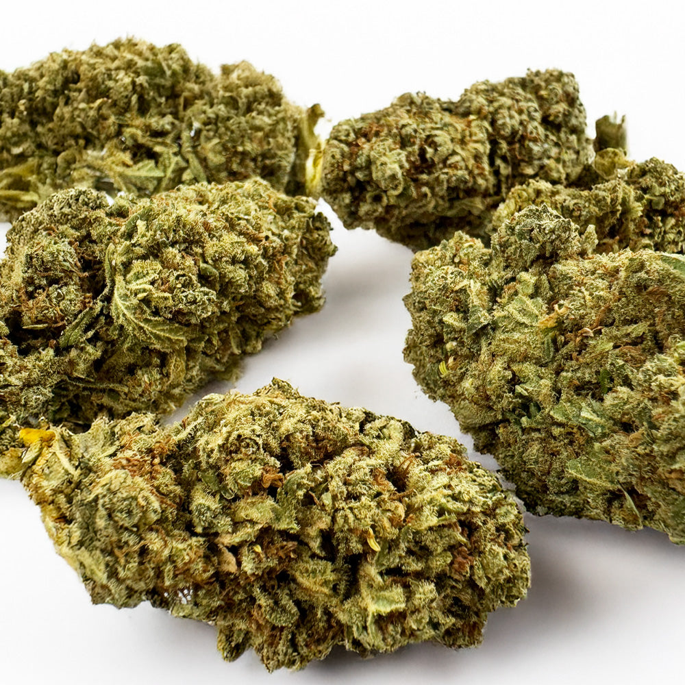 Citrus OG - Indoor — Photo 6