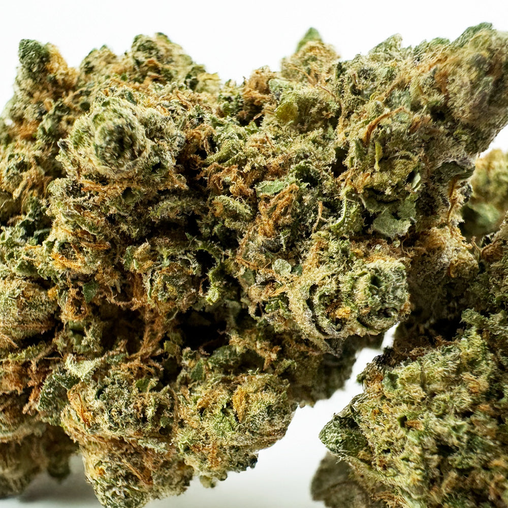 Lemon Haze HT - Indoor — photo 3