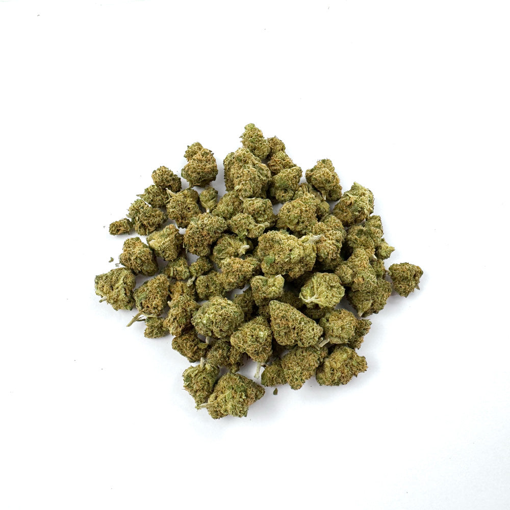 Small Orange Buds - Indoor — Photo 1
