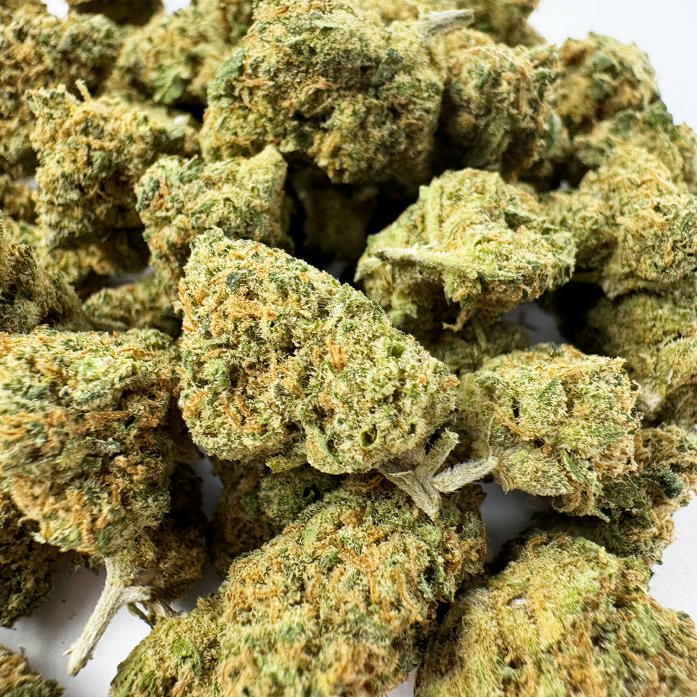 Small Orange Buds - Indoor — Photo 2