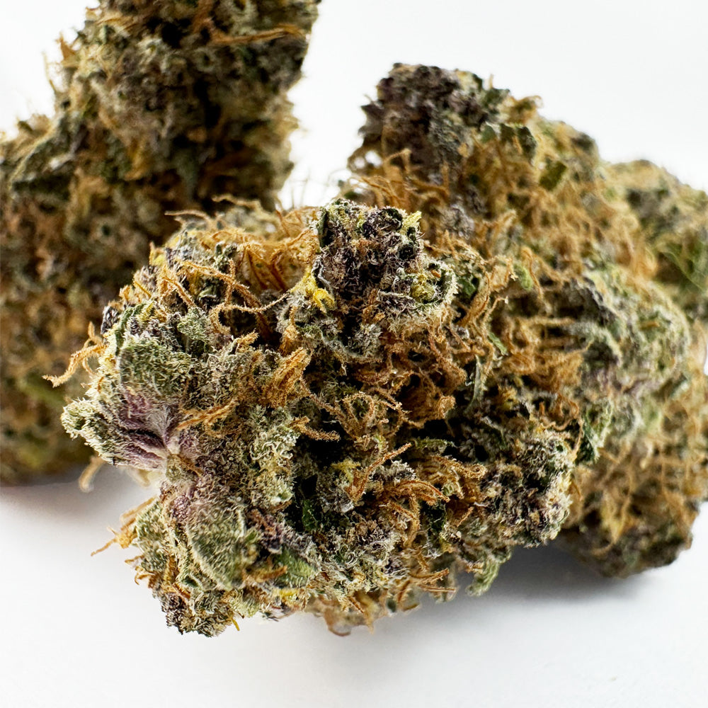 Glazzy Grape - Indoor Elite USA — photo 2
