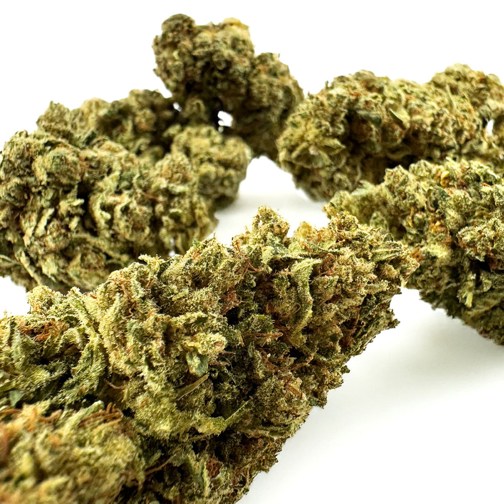 Gasolina CBD – Indoor