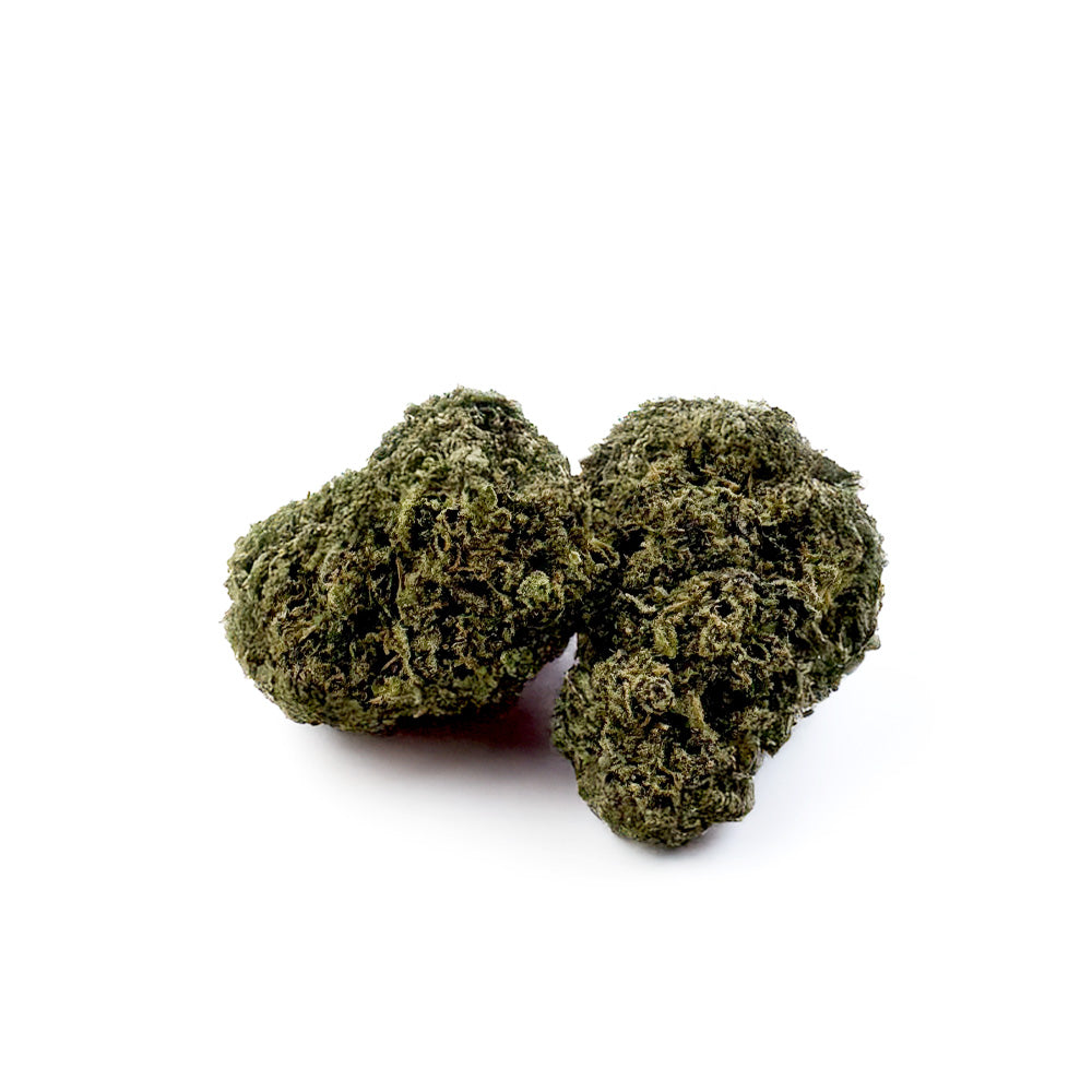 Gelato #41 - Interior EE. UU.