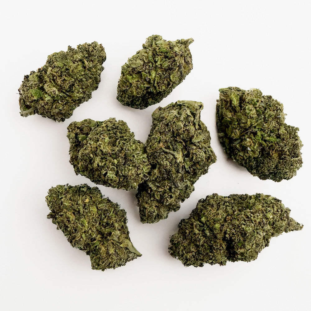 Gelato #41 - Interior EE. UU.