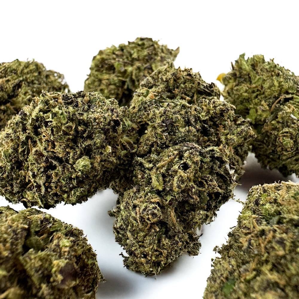 Gelato #41 – Indoor USA