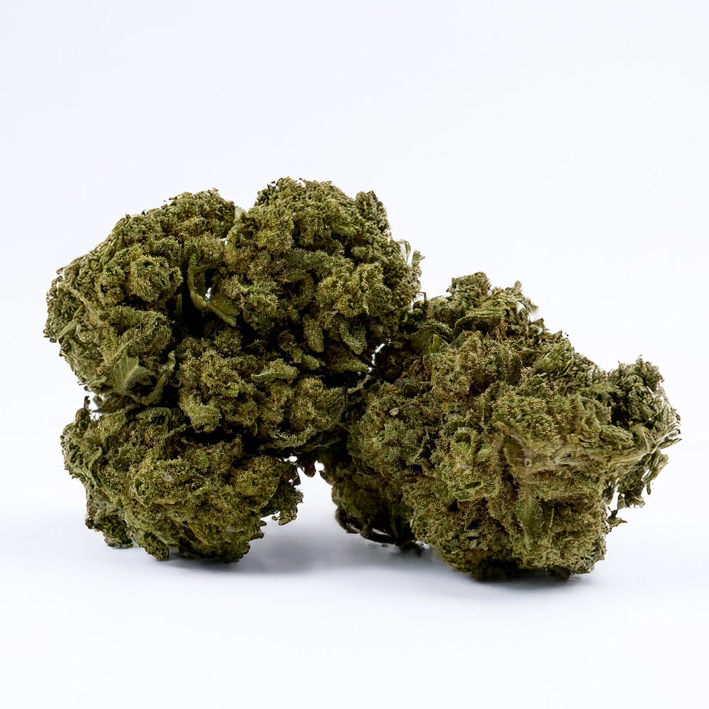 Gorilla Glue – Greenhouse