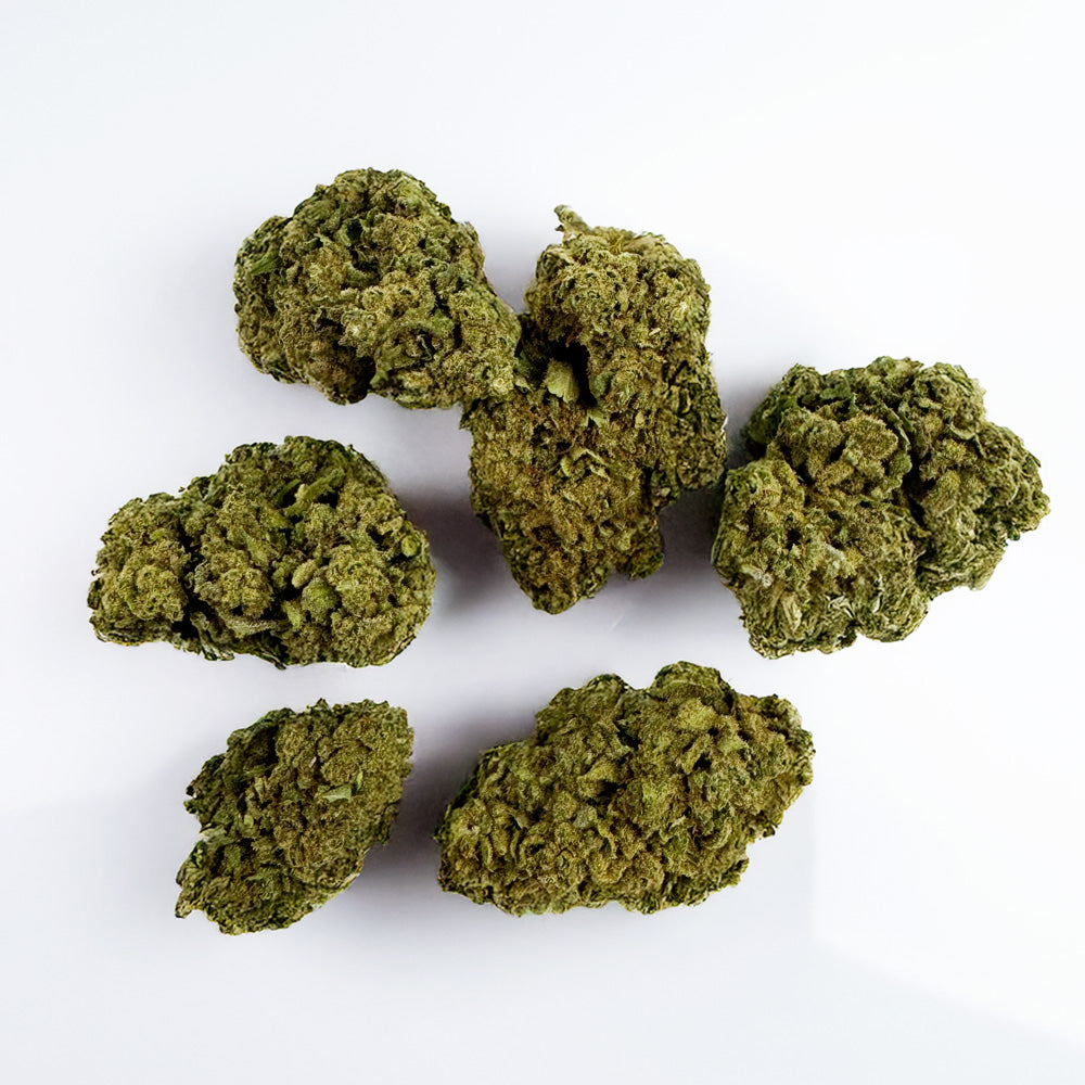 Gorilla Glue – Greenhouse