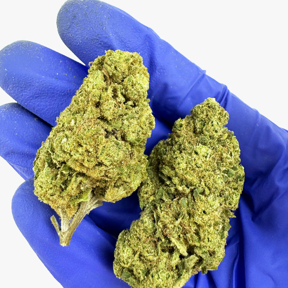 Gorilla Glue – Greenhouse