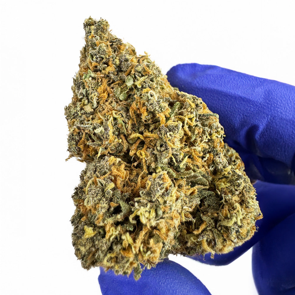 Grejpfrut – hybryda z USA