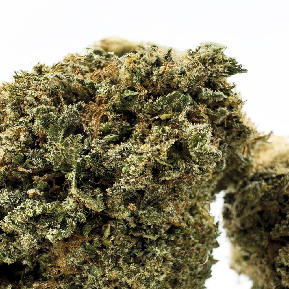 Guava Kush CBD - Interior