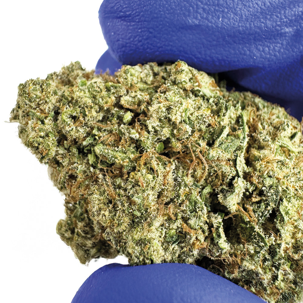 Guava Kush CBD - Interior