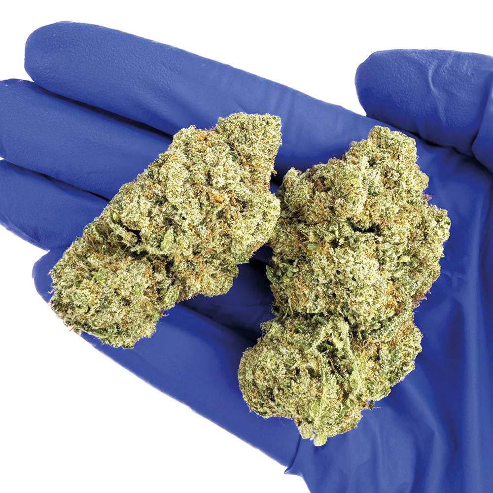 Guava Kush CBD - Indoor